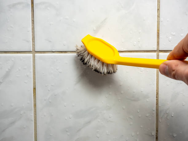 Best Health and Safety Mold Remediation in Elmira Heights, NY