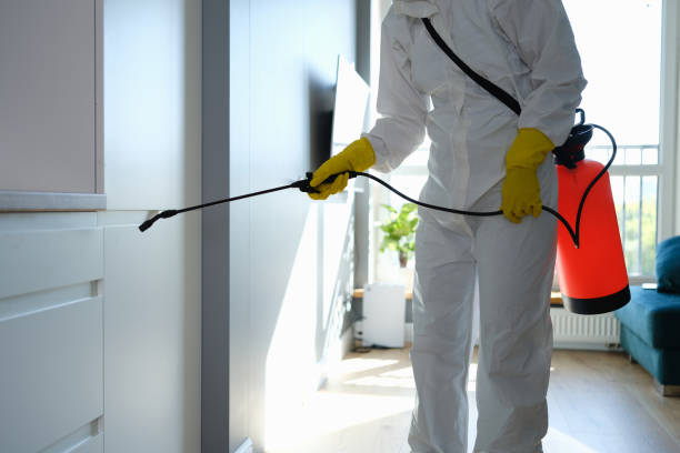 Professional Mold Remediation in Elmira Heights, NY