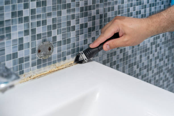 Best Mold Testing and Inspection Services in Elmira Heights, NY